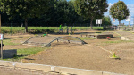 raceDay25cb98dbe4-9d56-4874-a2fe-5cee9559ec4b.JPG