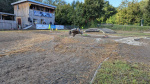 raceDay256e7f167e-e464-48f7-b9fb-b42967028b4d.JPG